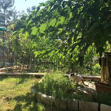 Tasteful For Familles - 1 Min Walk Holiday home *